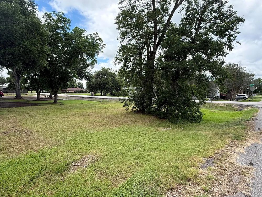 407 3rd Street Beasley, TX 77417