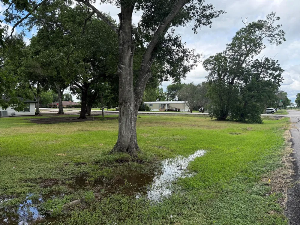 407 3rd Street Beasley, TX 77417