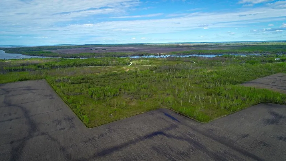 TBD State Hwy 172 Cliff Baudette, MN 56623