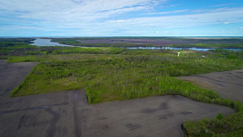 TBD State Hwy 172 Cliff Baudette, MN 56623