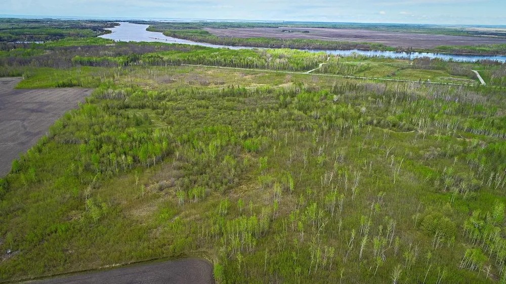 TBD State Hwy 172 Cliff Baudette, MN 56623