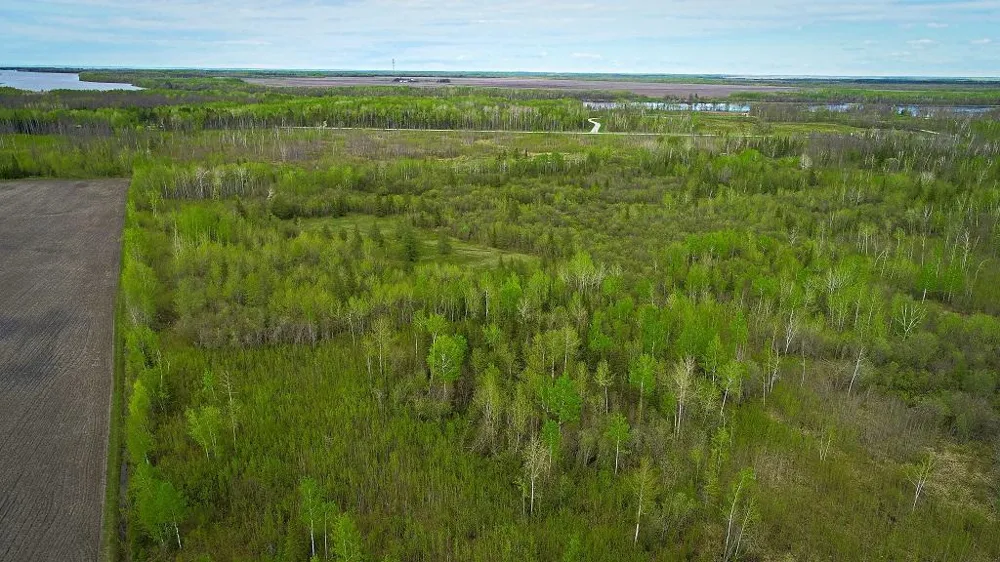 TBD State Hwy 172 Cliff Baudette, MN 56623