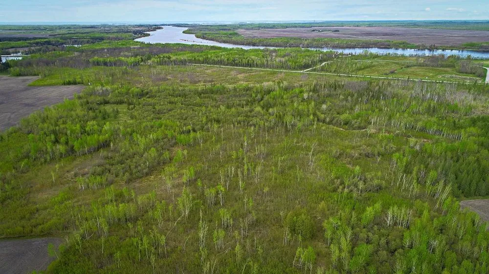 TBD State Hwy 172 Cliff Baudette, MN 56623