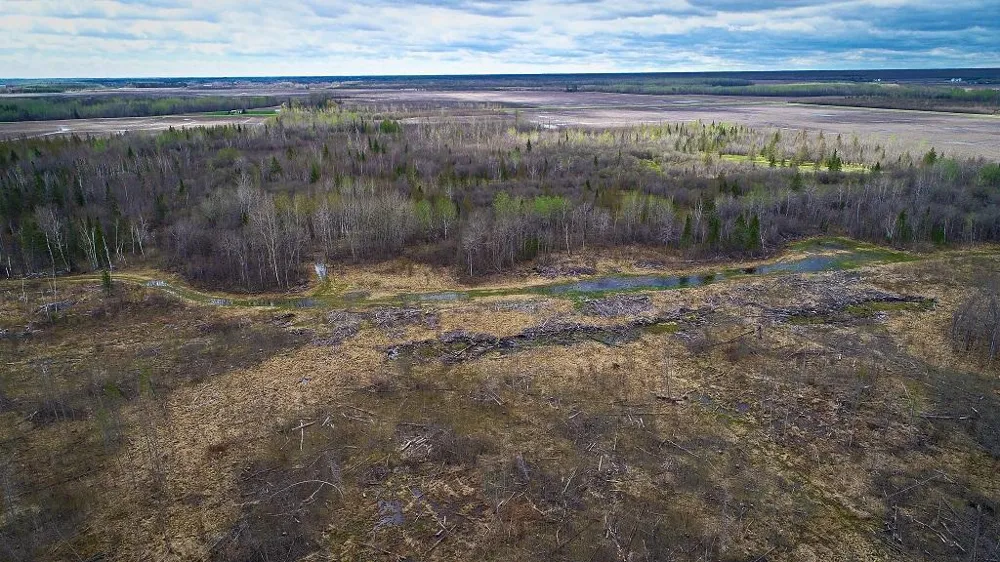 TBD State Hwy 172 Cliff Baudette, MN 56623