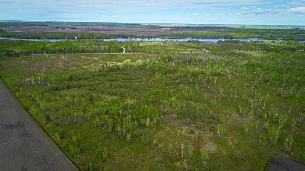 TBD State Hwy 172 Cliff Baudette, MN 56623