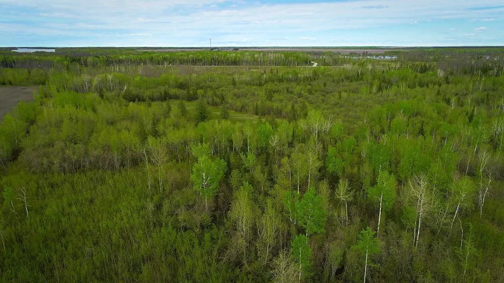 TBD State Hwy 172 Cliff Baudette, MN 56623
