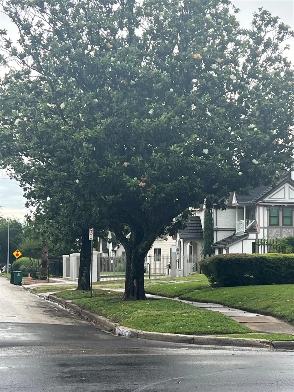 2313 Wichita Street Houston, TX 77004