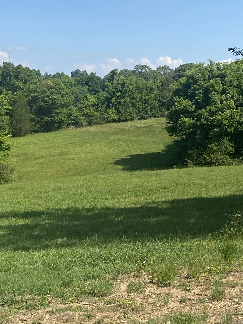 656 County Rd Anderson, AL 35610