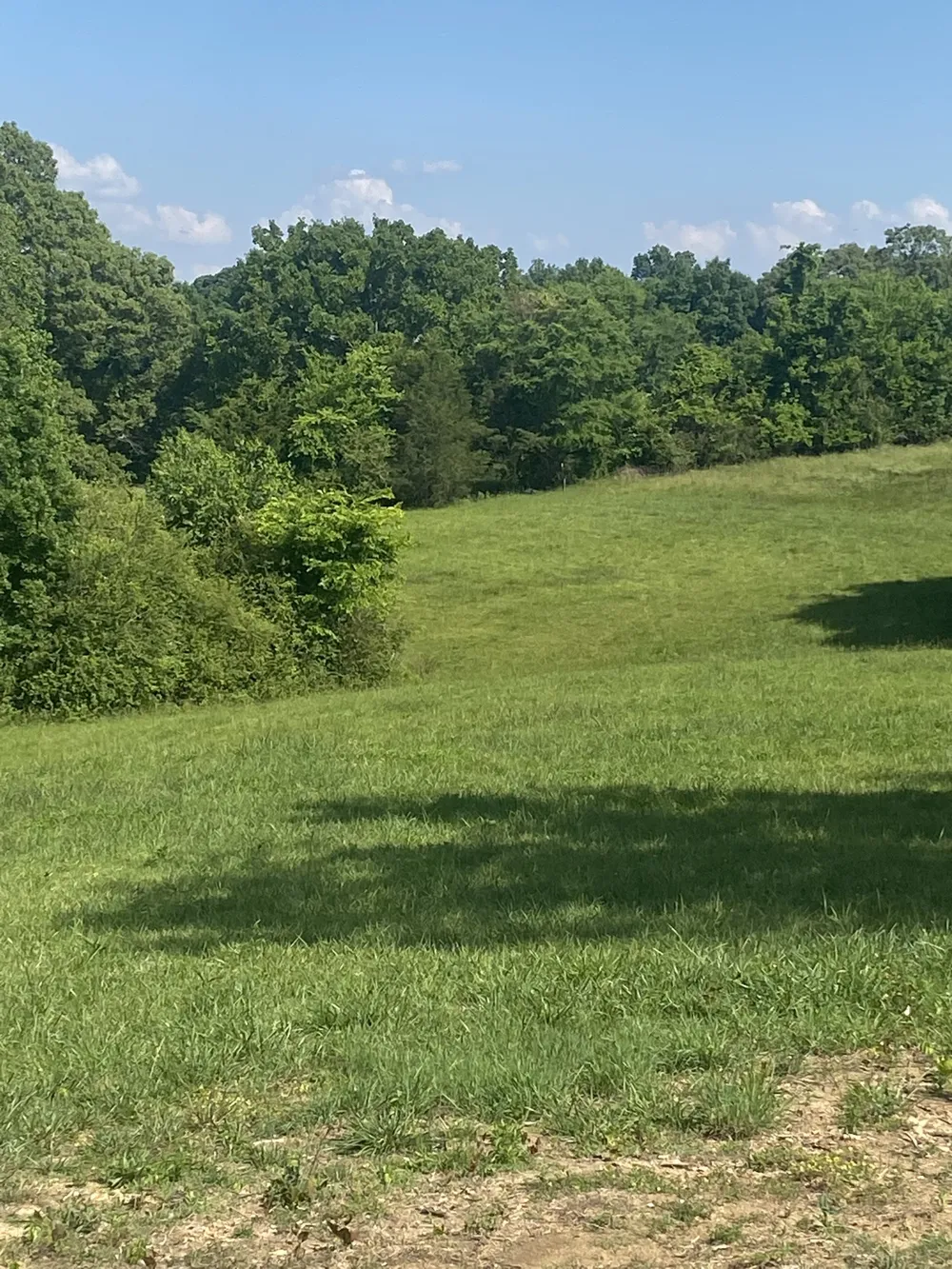 656 County Rd Anderson, AL 35610