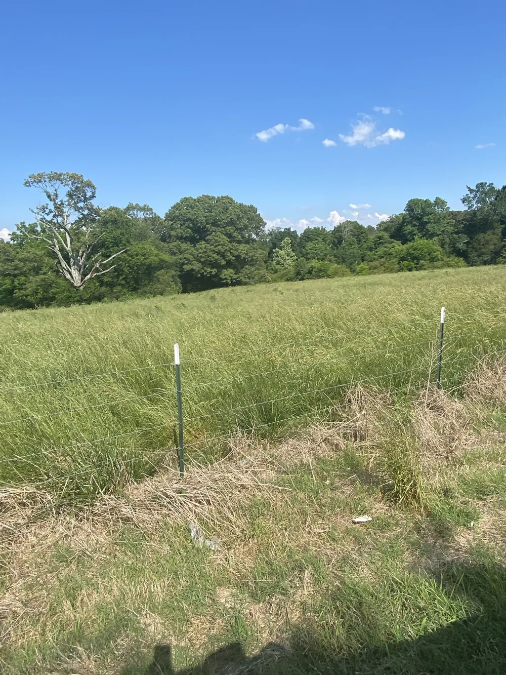 656 County Rd Anderson, AL 35610