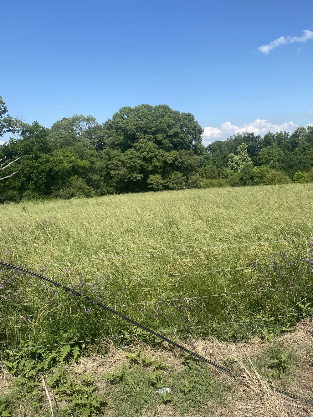 656 County Rd Anderson, AL 35610