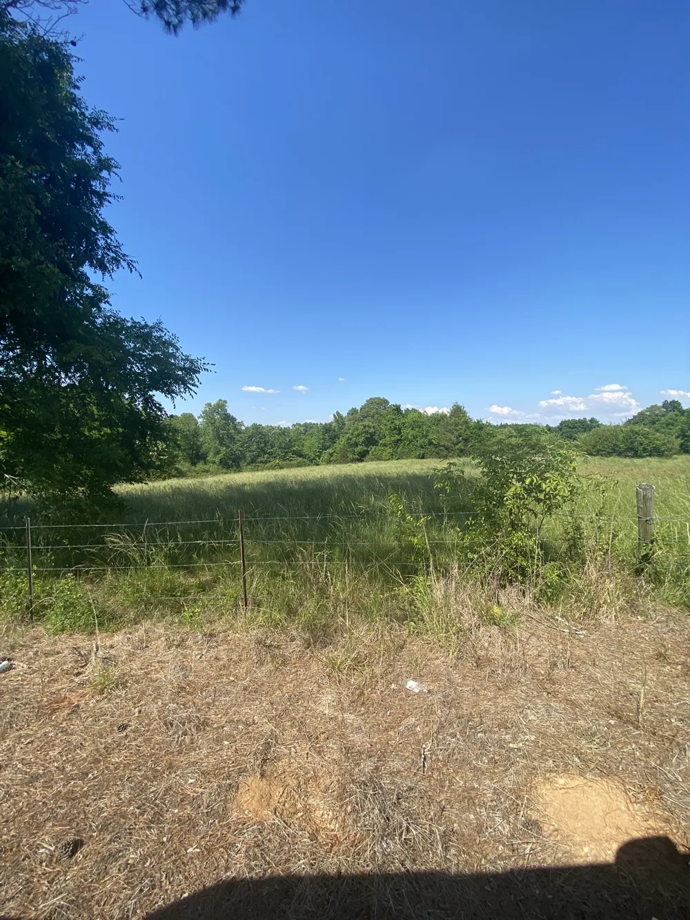 656 County Rd Anderson, AL 35610