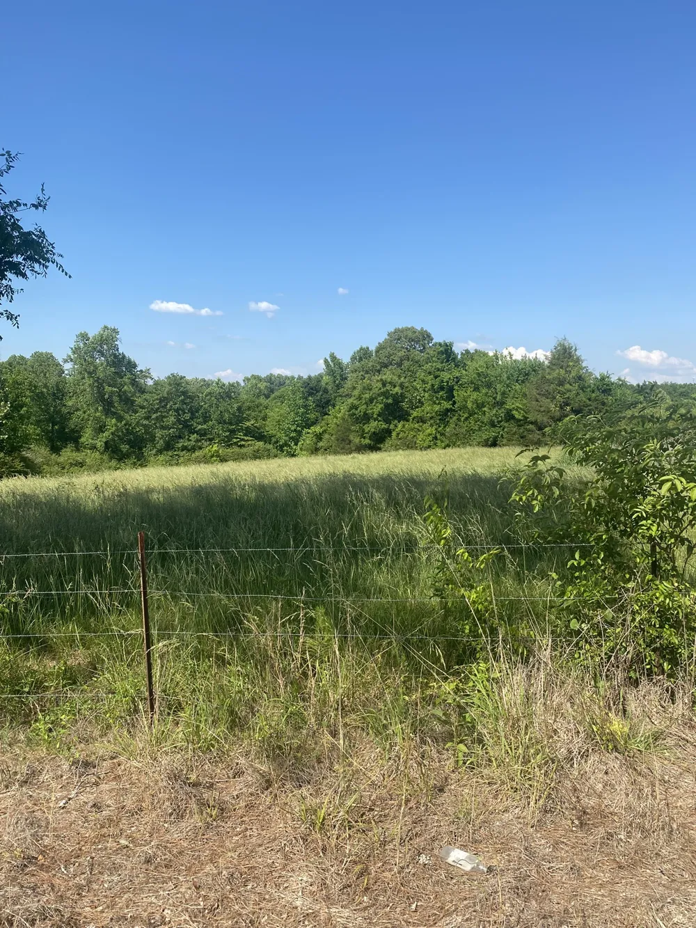 656 County Rd Anderson, AL 35610
