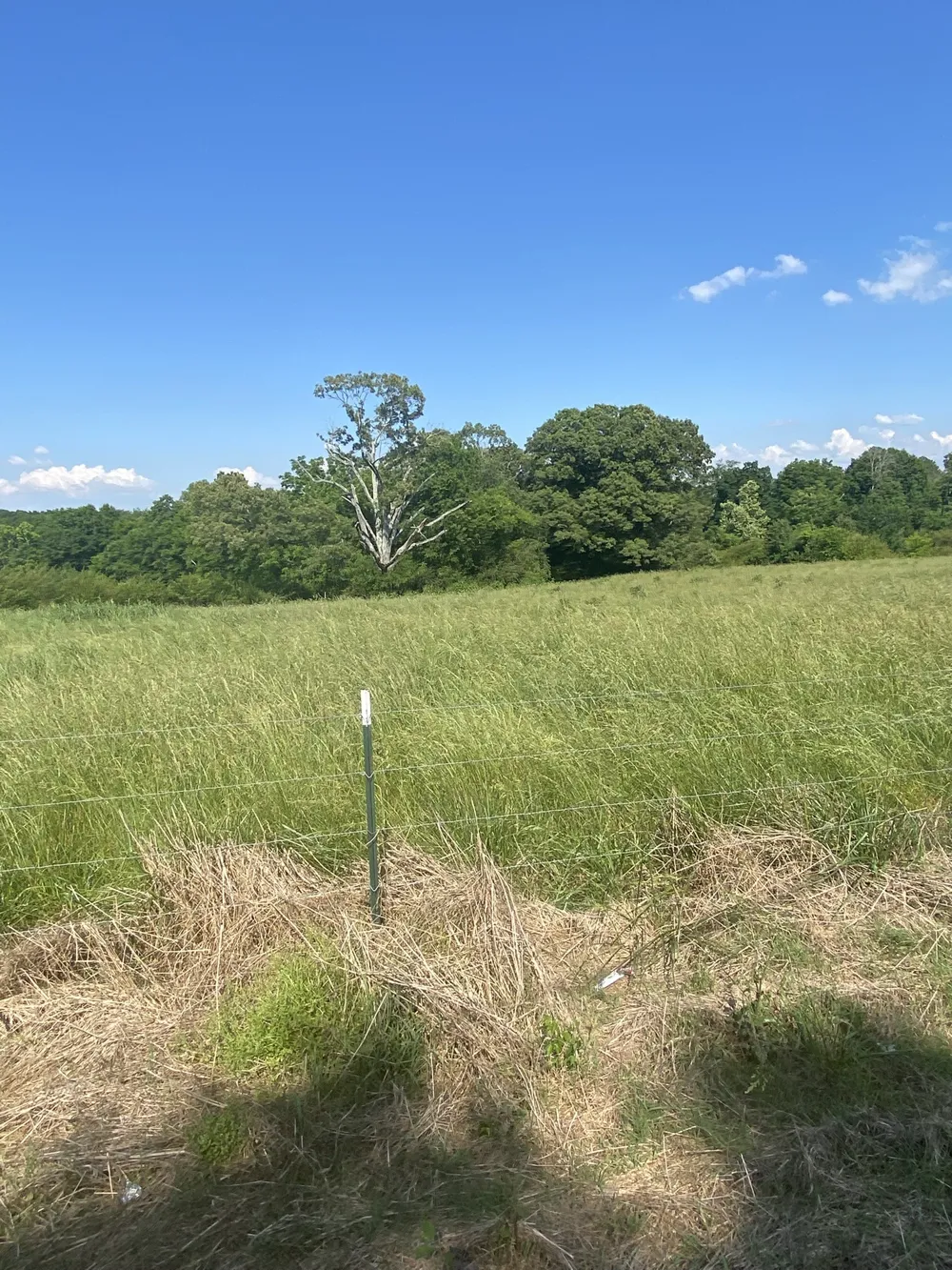 656 County Rd Anderson, AL 35610