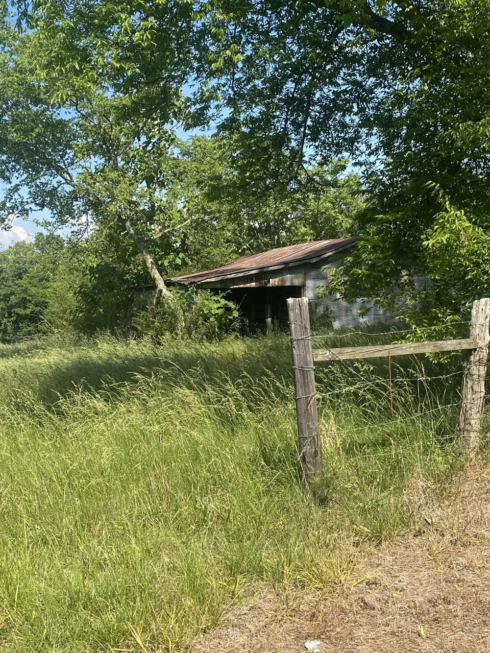 656 County Rd Anderson, AL 35610