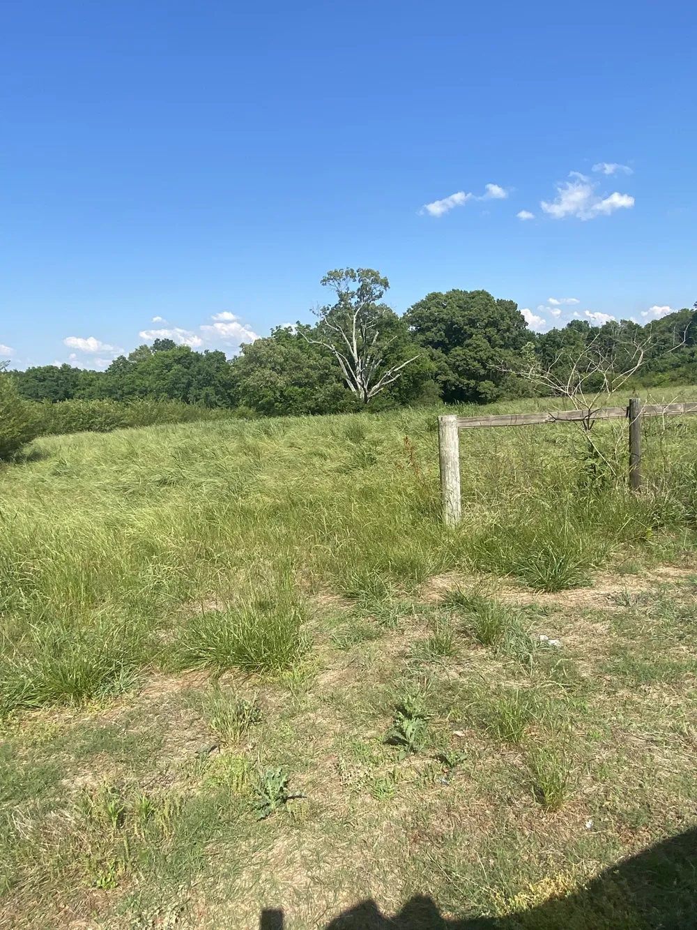 656 County Rd Anderson, AL 35610