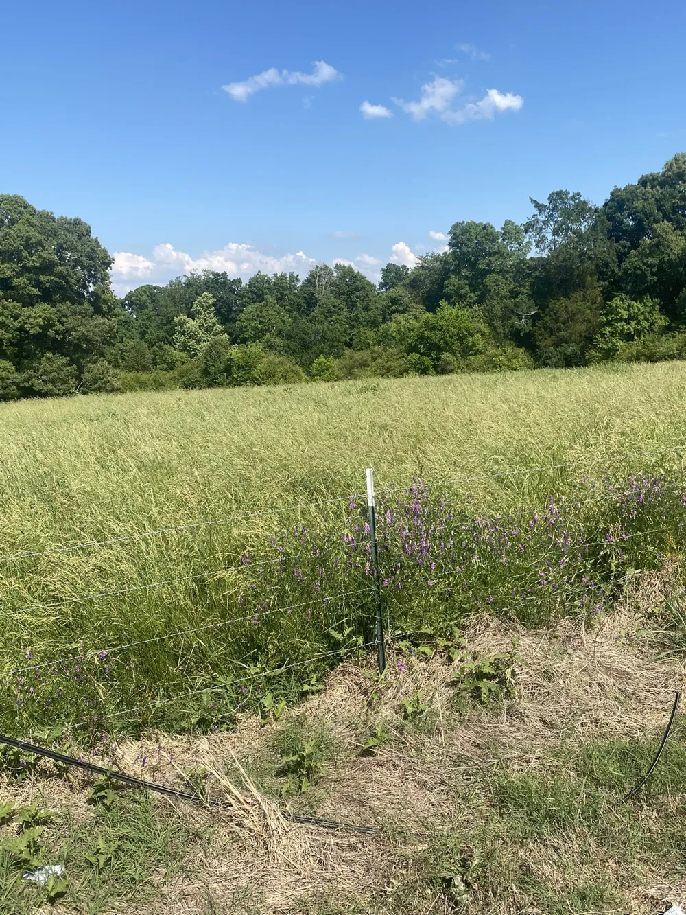 656 County Rd Anderson, AL 35610