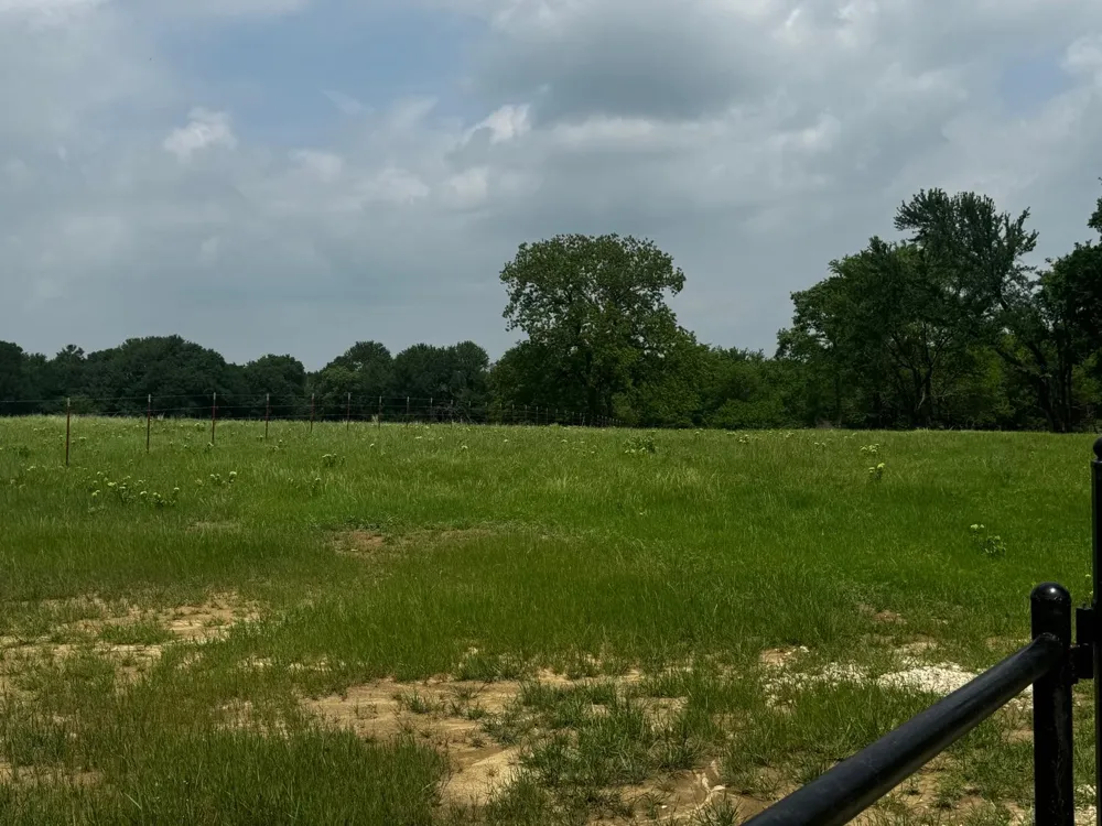 State Hwy 56 Whitesboro, TX 76273