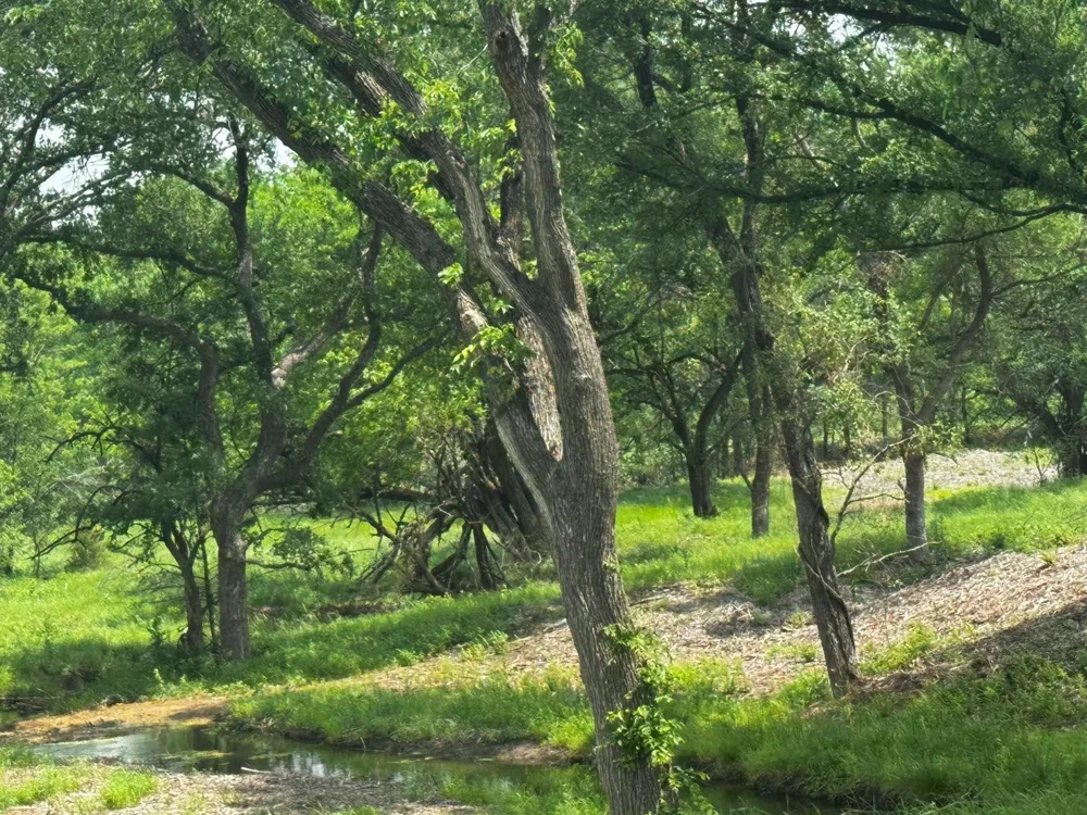 State Hwy 56 Whitesboro, TX 76273
