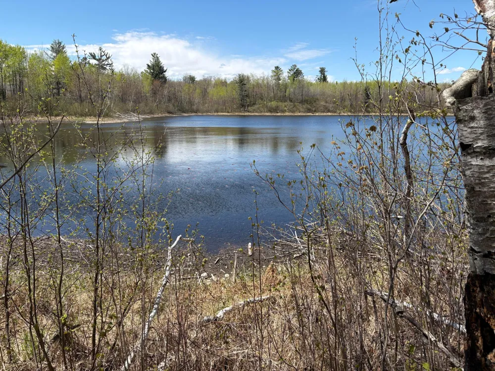 854x W Chub Lake Rd Carlton, MN 55718