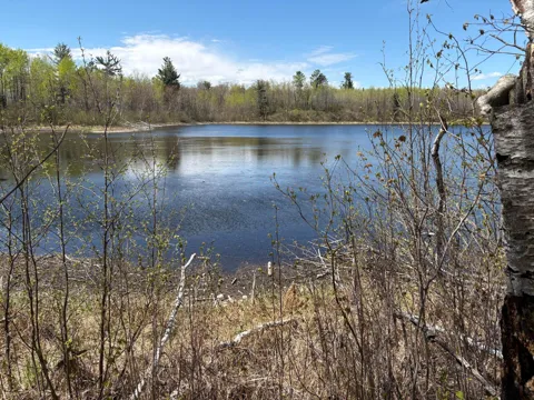 854x W Chub Lake Rd