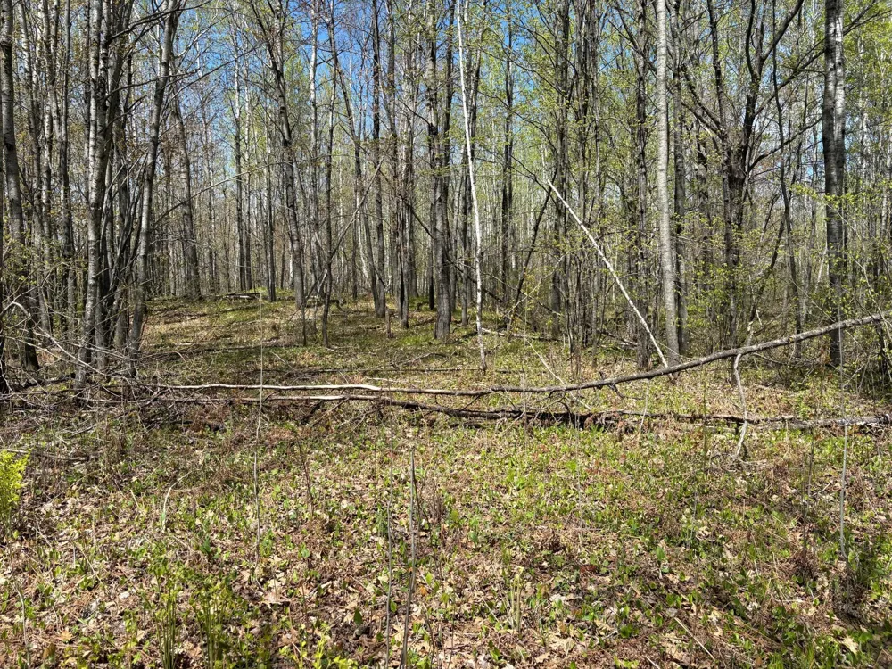 854x W Chub Lake Rd Carlton, MN 55718