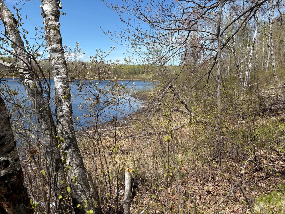 854x W Chub Lake Rd Carlton, MN 55718