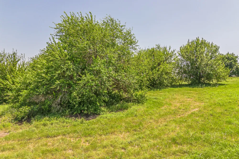 368 Private Road 4443 Rhome, TX 76078
