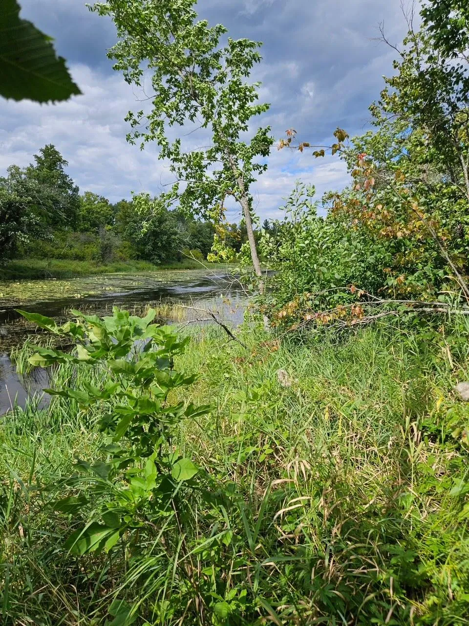 _ __Birch Circle Drive NW Baudette, MN 56623