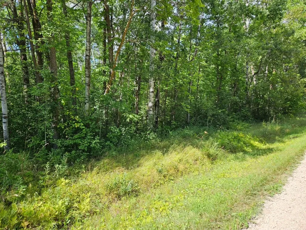 _ __Birch Circle Drive NW Baudette, MN 56623