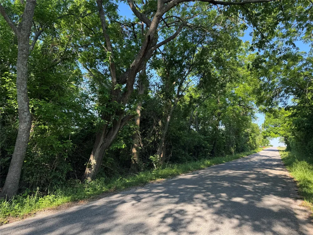 Ball Road Whitewright, TX 75491