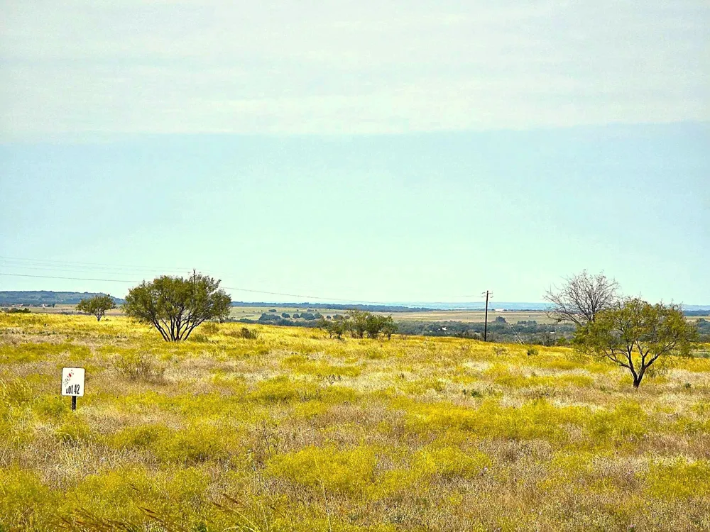 Indian Springs Indian Gap, TX 76531