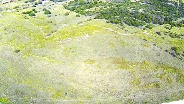 Indian Springs Indian Gap, TX 76531