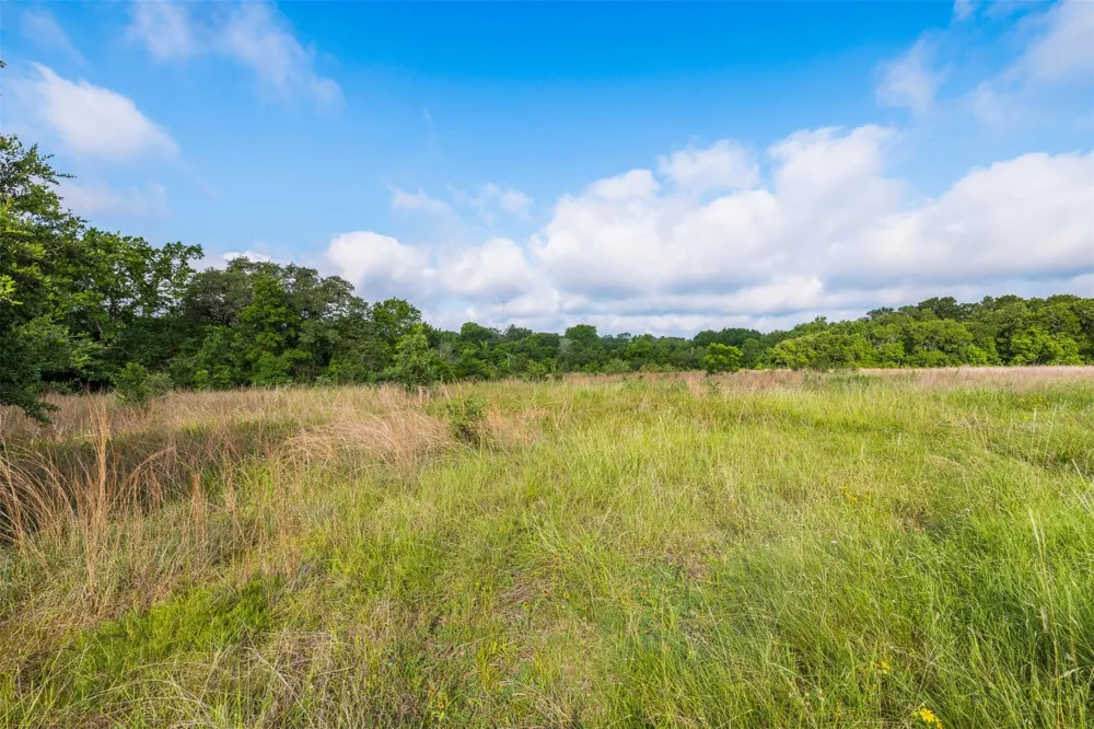 1338 Hwy 237 Round Top, TX 78954