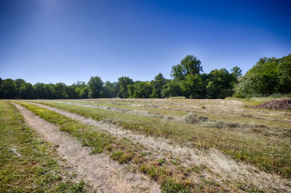 1028B Pettus Rd Madison, AL 35757
