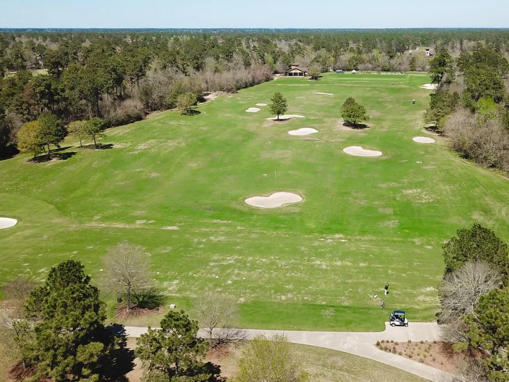 30 Lamerie Way The Woodlands, TX 77382