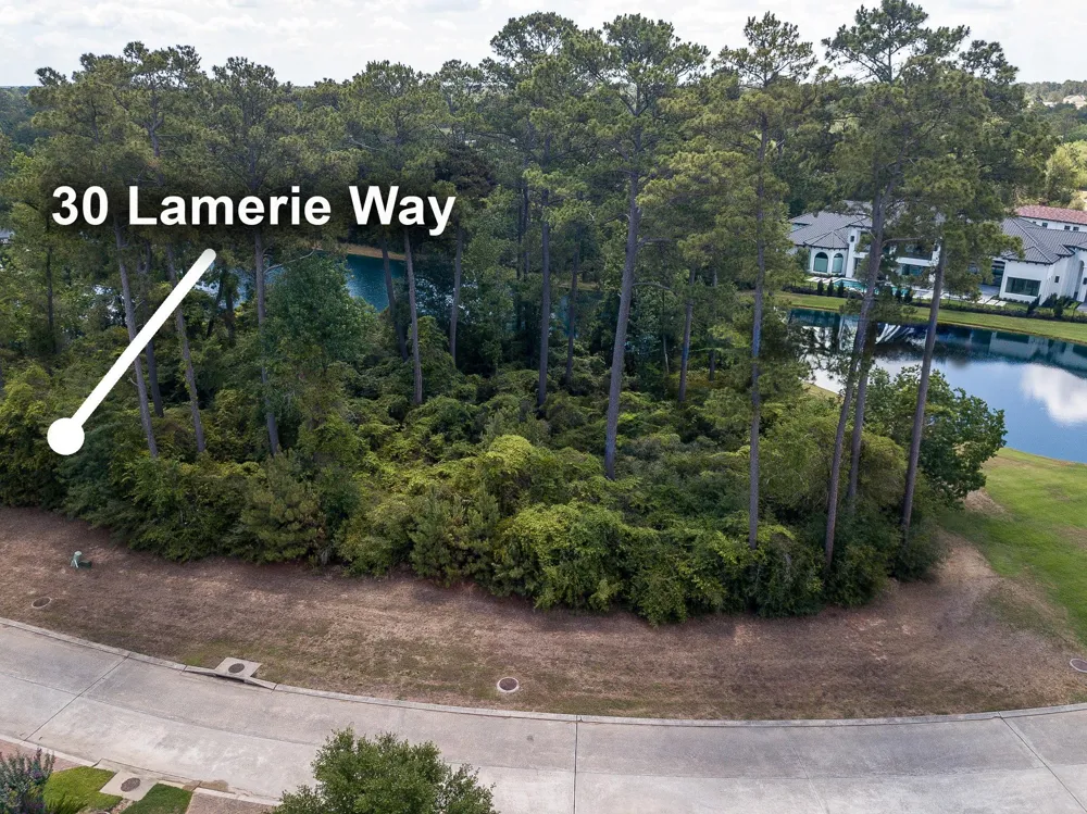 30 Lamerie Way The Woodlands, TX 77382