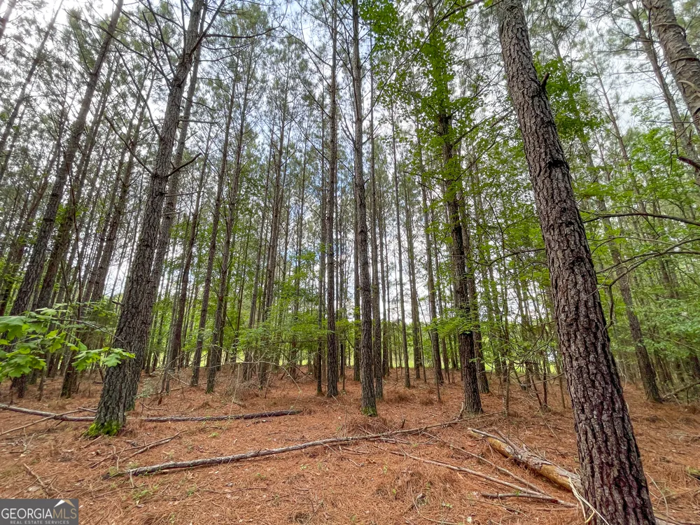 7517 Blacks Bluff RD SW Cave Spring, GA 30124