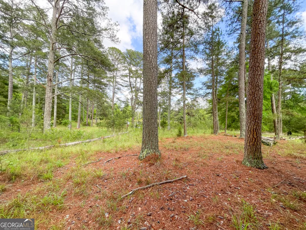 7517 Blacks Bluff RD SW Cave Spring, GA 30124