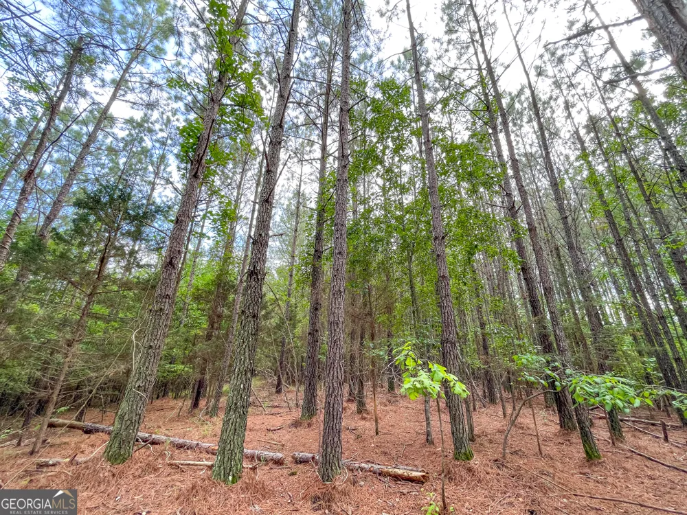 7517 Blacks Bluff RD SW Cave Spring, GA 30124