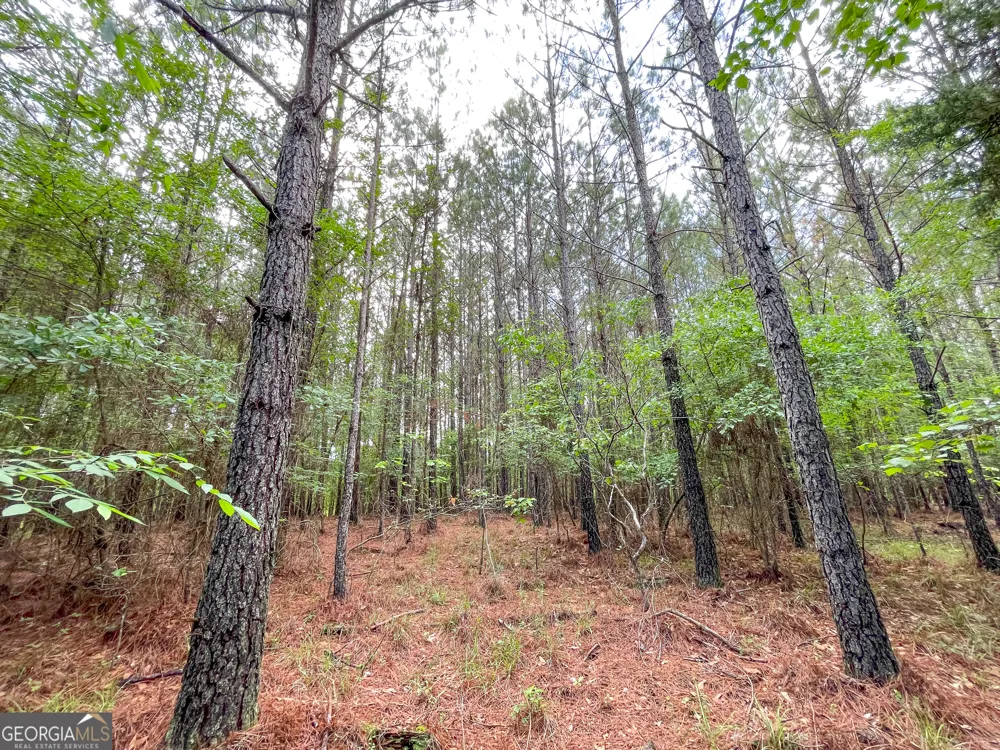 7517 Blacks Bluff RD SW Cave Spring, GA 30124