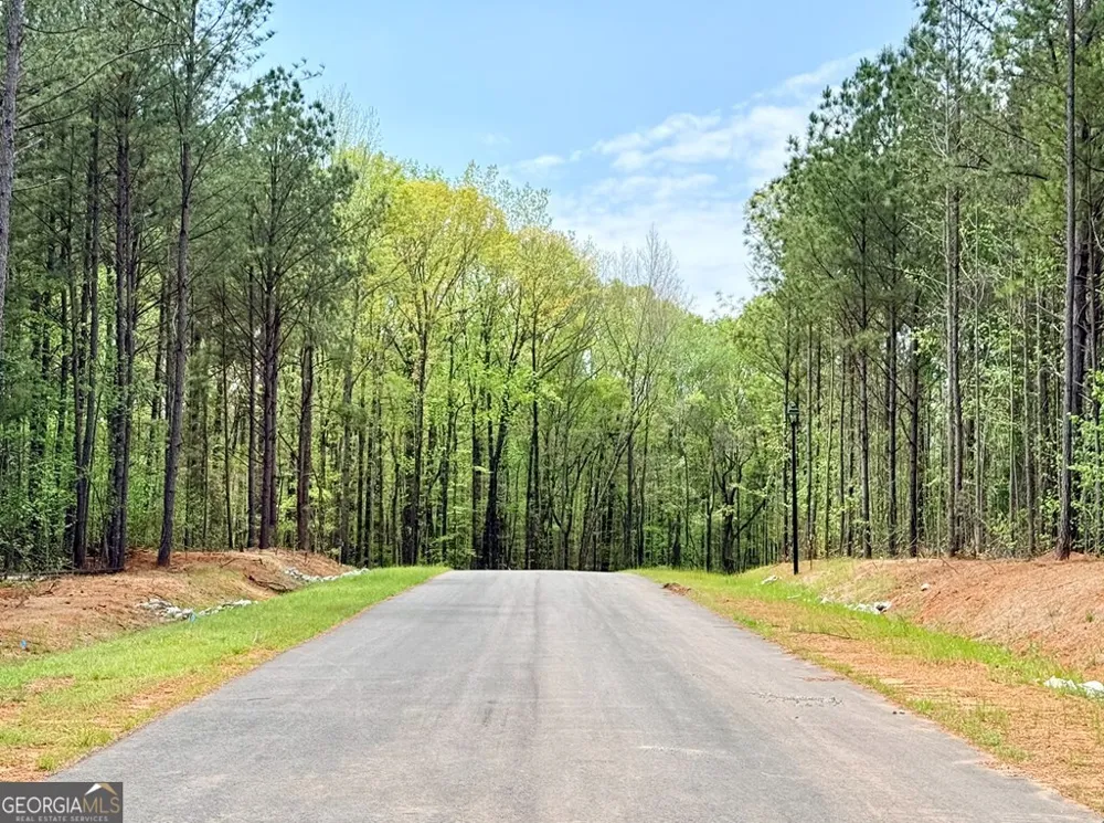 174 Rolling Meadows WAY Waverly Hall, GA 31831