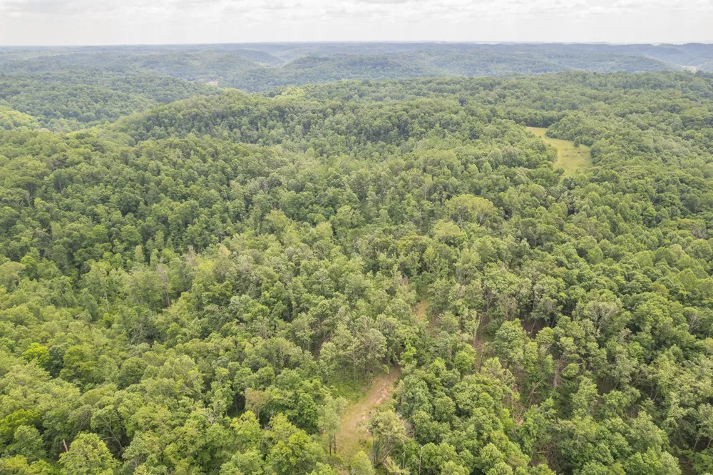0 RBK Bethpage, TN 37022