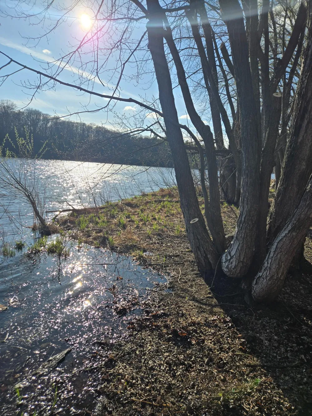 6600 Canary Road NW Royalton, MN 56373