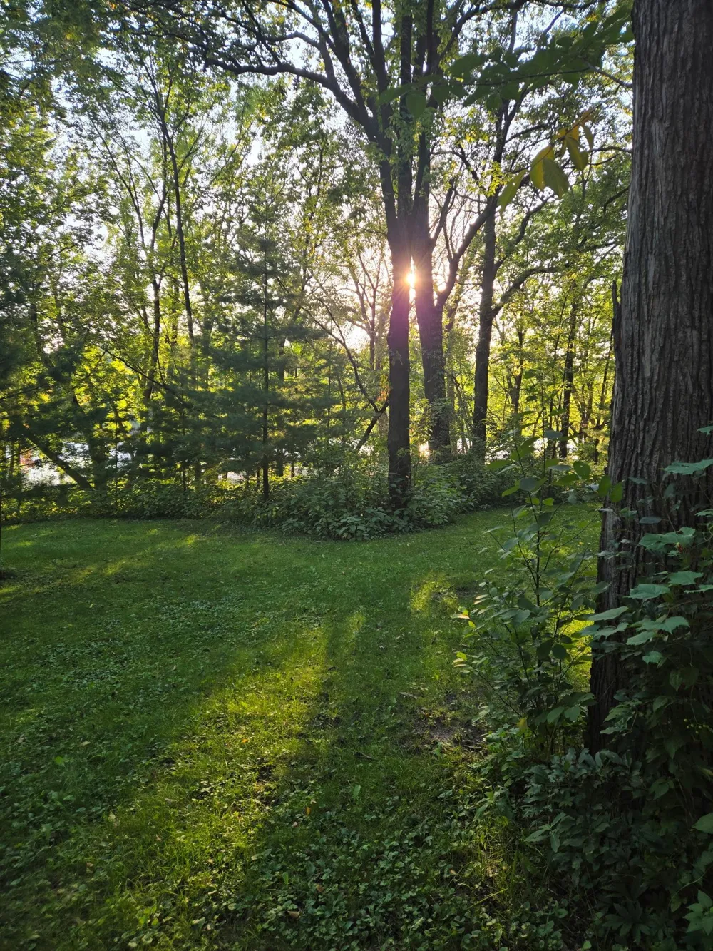 6600 Canary Road NW Royalton, MN 56373