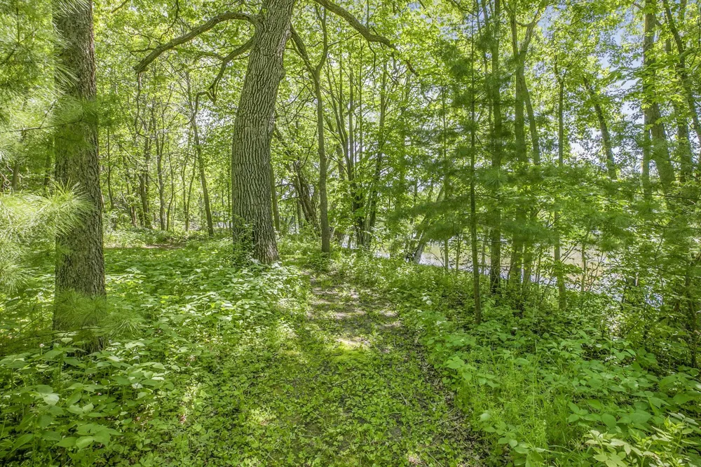 6600 Canary Road NW Royalton, MN 56373