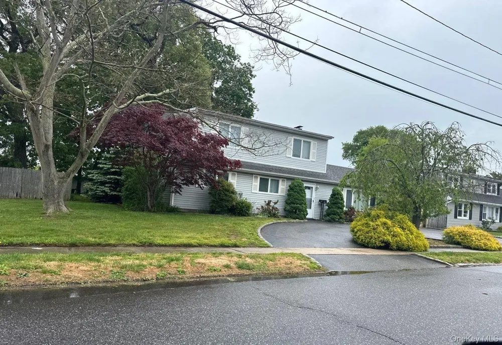 22 William Street Copiague, NY 11726