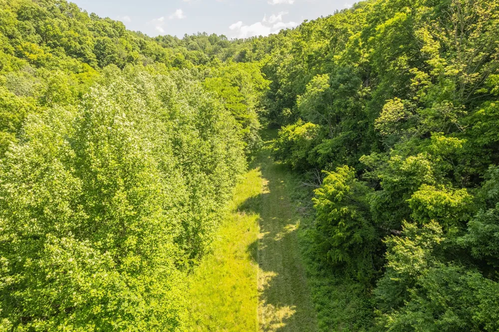 0 Haze Hyde Hollow Rd Bethpage, TN 37022