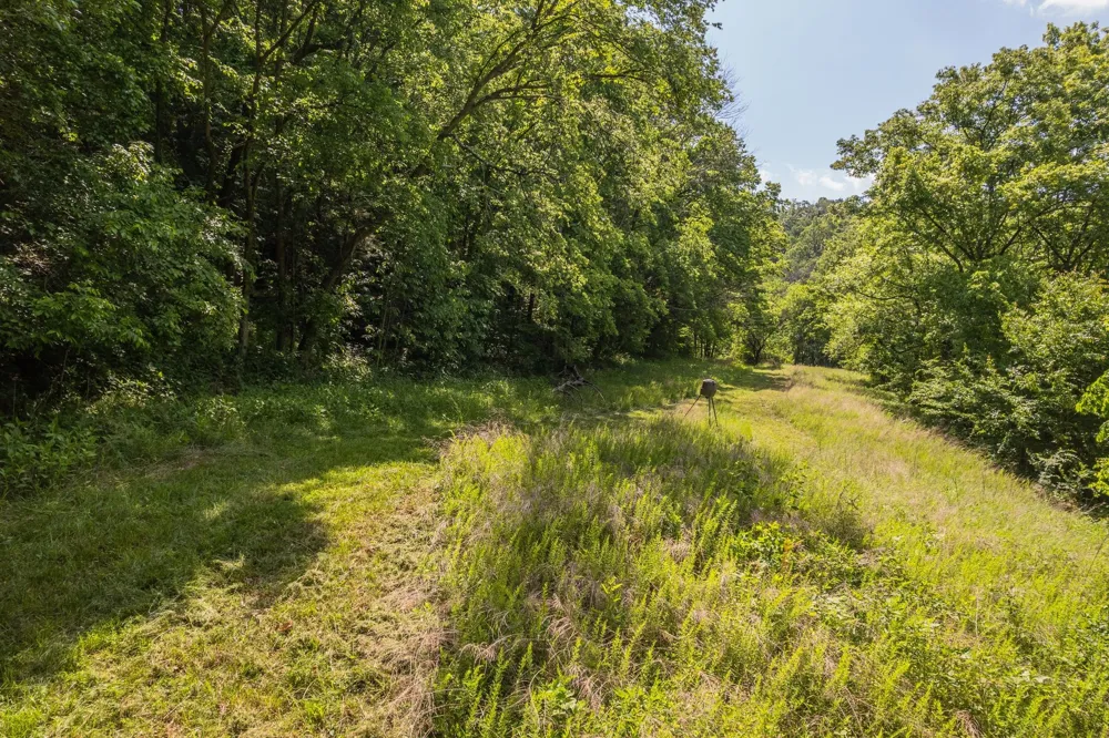 0 Haze Hyde Hollow Rd Bethpage, TN 37022