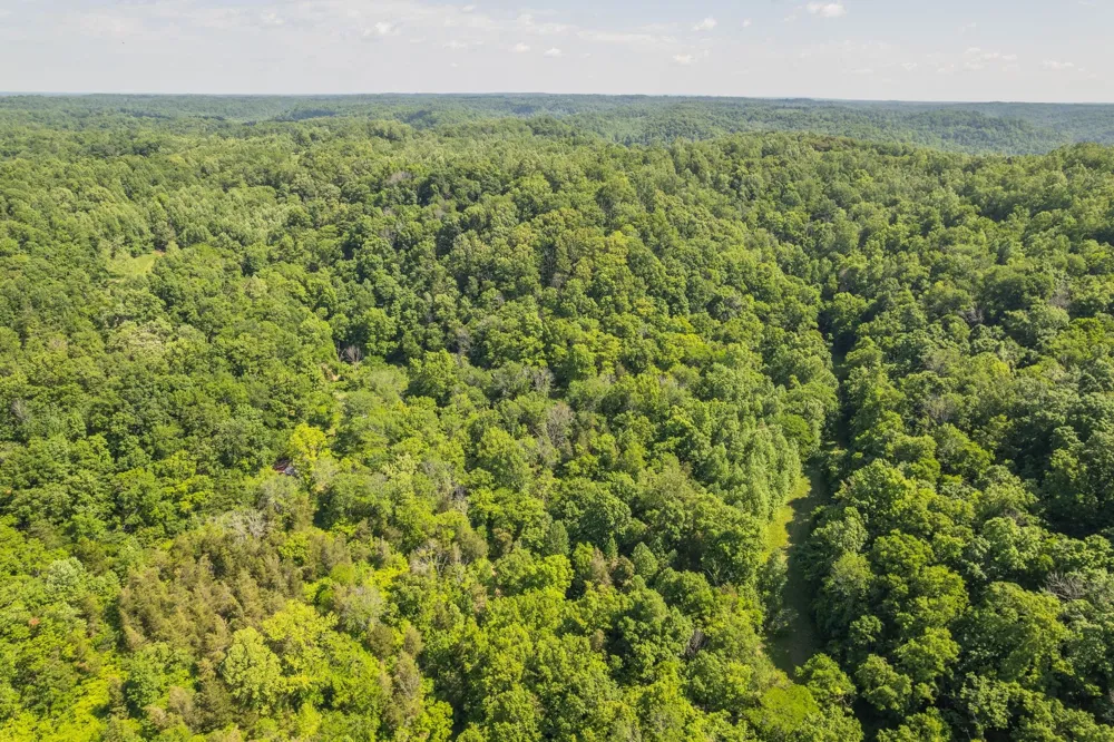0 Haze Hyde Hollow Rd Bethpage, TN 37022